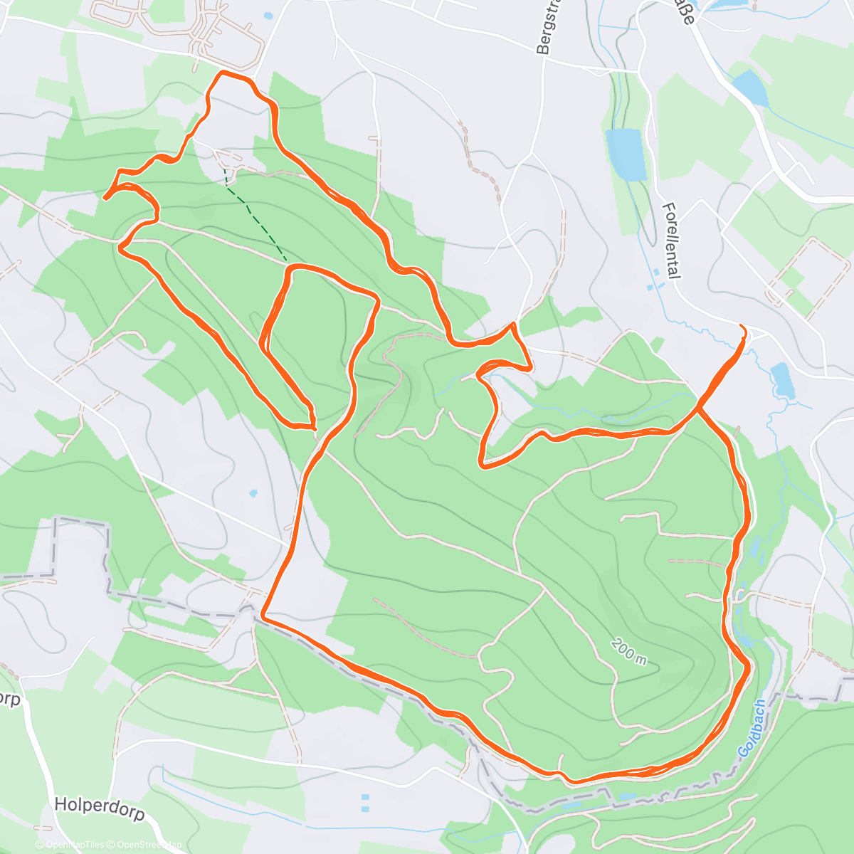 Map of the activity, 7. Borgberg Trail-Marathon 🥇