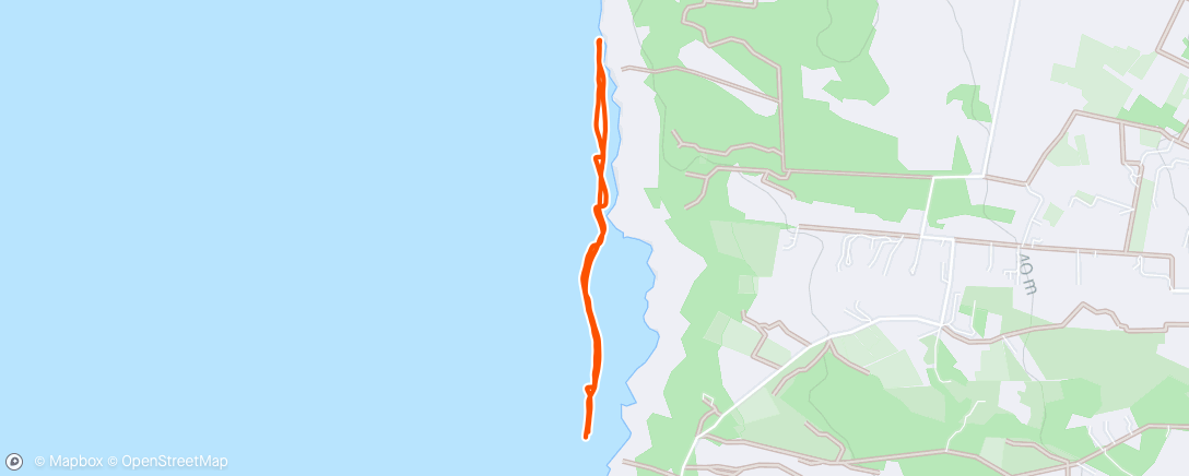 Map of the activity, Cala Saona