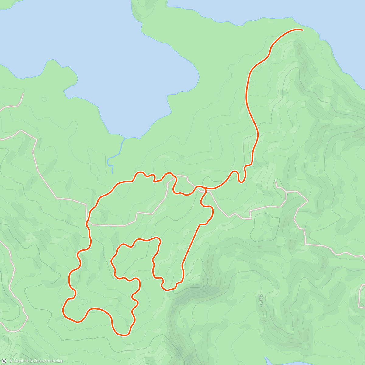 Map of the activity, Zwift - Jungle Circuit in Watopia