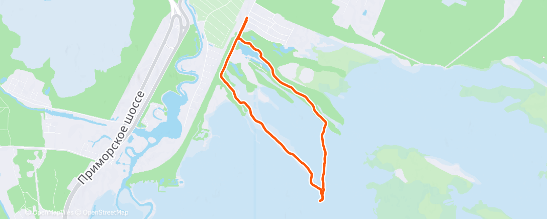 Map of the activity, В поисках зверя