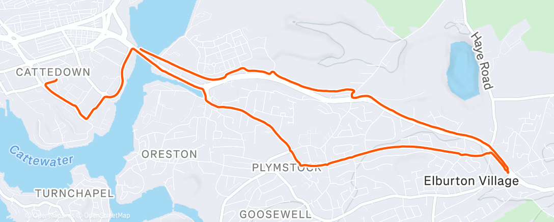 Map of the activity, Billacombe (Lidl) 10k