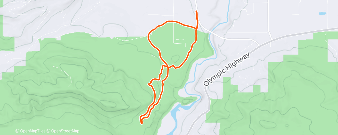 Карта физической активности (Shorts in December)