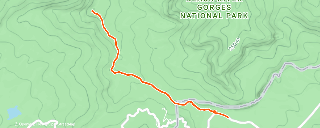 Map of the activity, Morning Walk