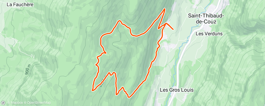 Map of the activity, Afternoon Run