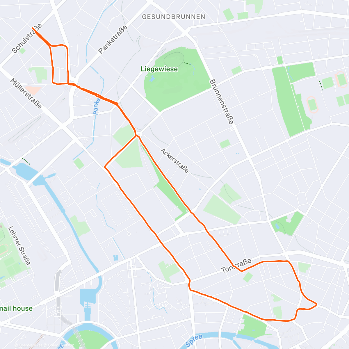 Map of the activity, Afternoon Run 🌀