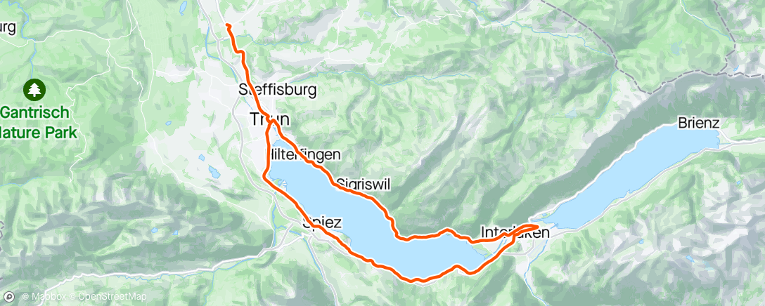 Map of the activity, Thunersee