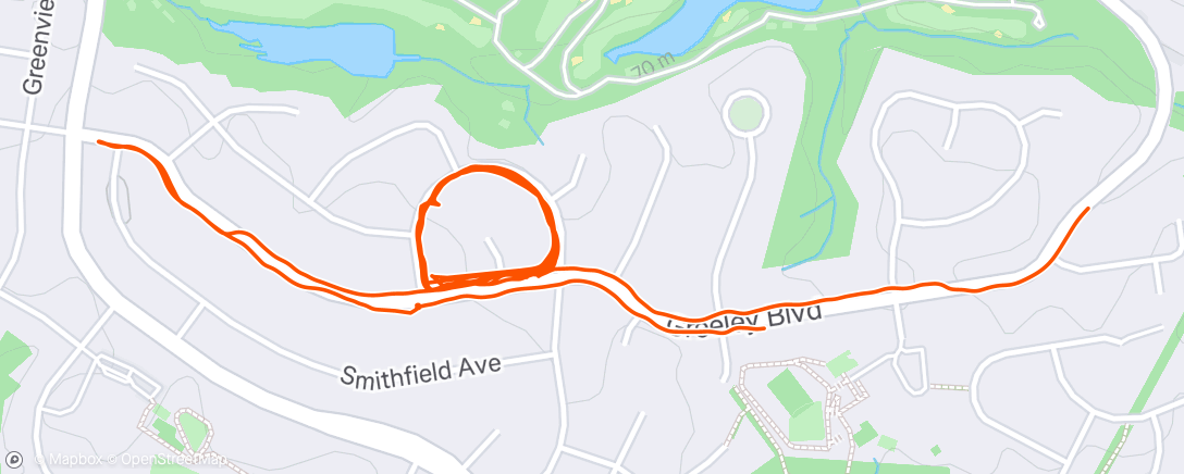 Map of the activity, Morning Run