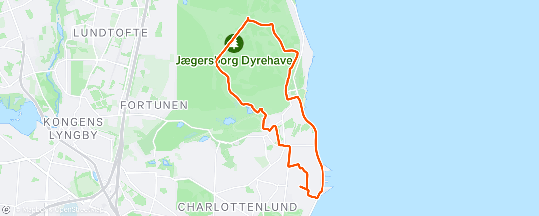 Map of the activity, 2x runner and 4x kids on MTB