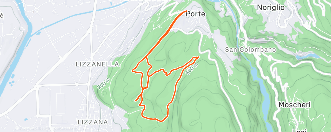 Map of the activity, In da bosk(ettino) 🌲🌲🌲