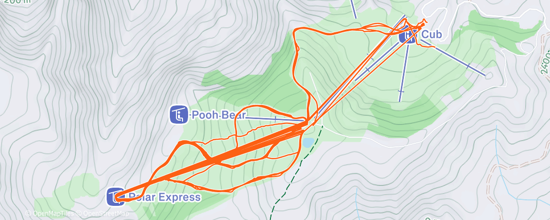 Карта физической активности (Amazing snow conditions-Bear Valley Ski)