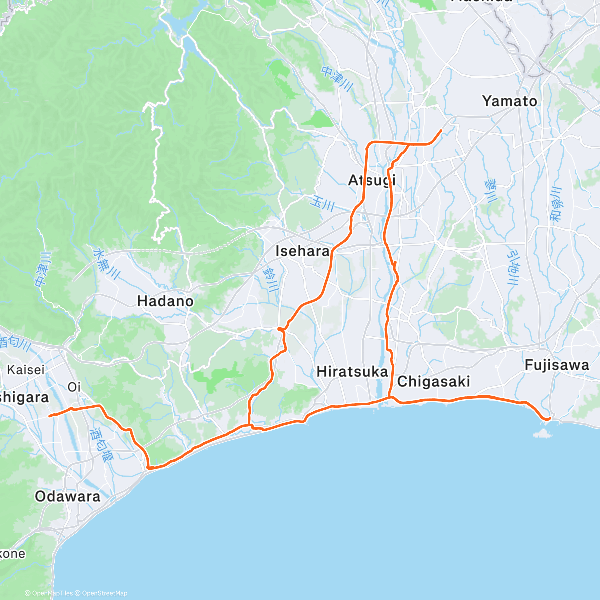 Карта физической активности (ボブノリと遊ぶ♪)