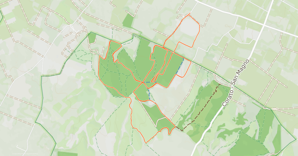 www.strava.com