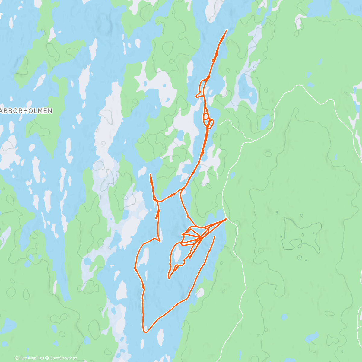 Карта физической активности (S klukama poprvé na volném ledu ❤️🇳🇴🩵⛸️)