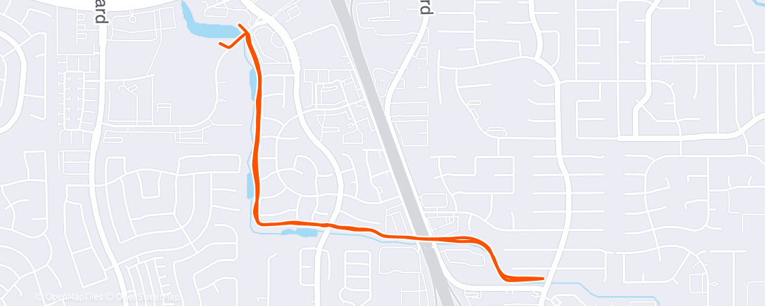 Карта физической активности (Morning Run)