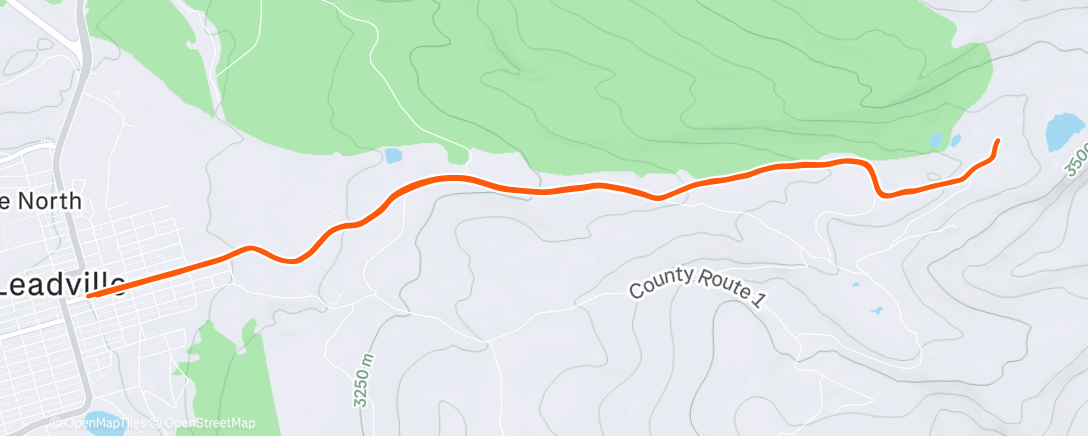 Map of the activity, Christmas Eve BCRC! 🎄 🎅🏻