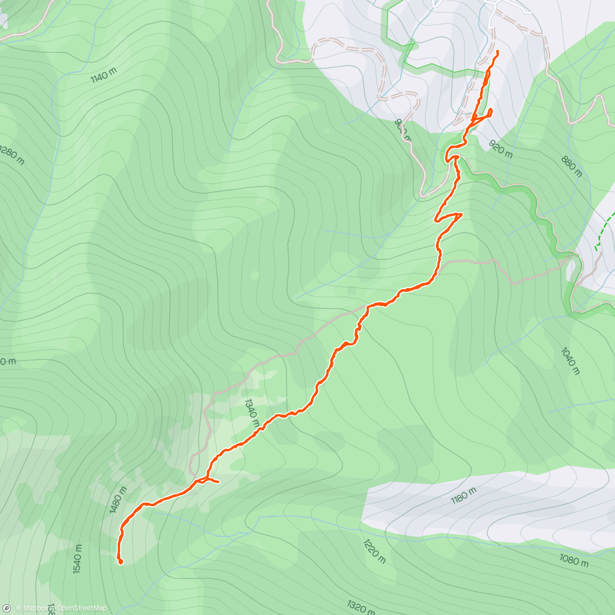 Martine Bras  Strava Cyclist Profile