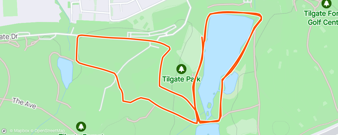 Map of the activity, Tilgate parkrun with Claire, to remember Fran and support Mick and St Catherine’s Hospice 💙💚🧡