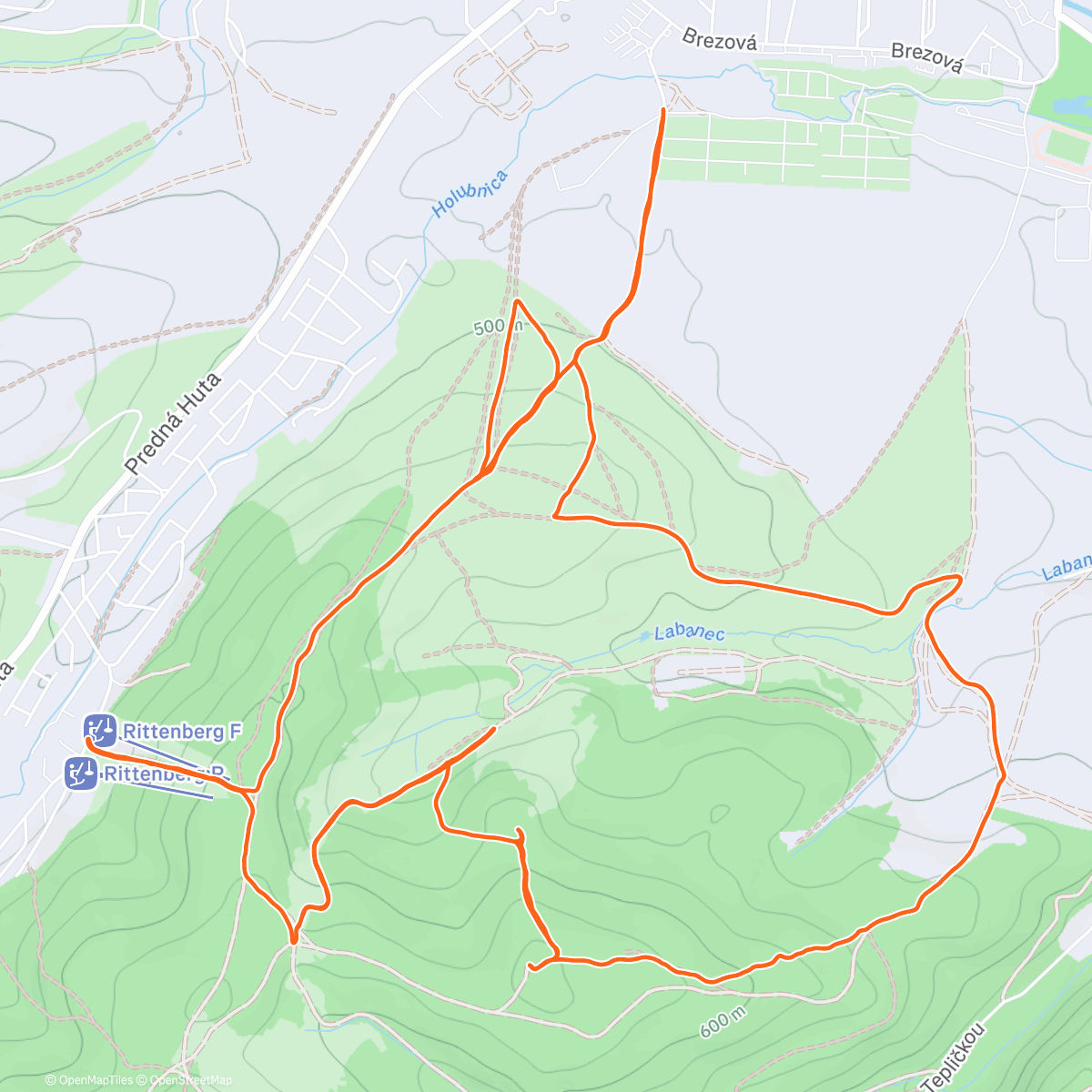 Карта физической активности (Lunch Trail Run / Šulerloch & Rittenberg)