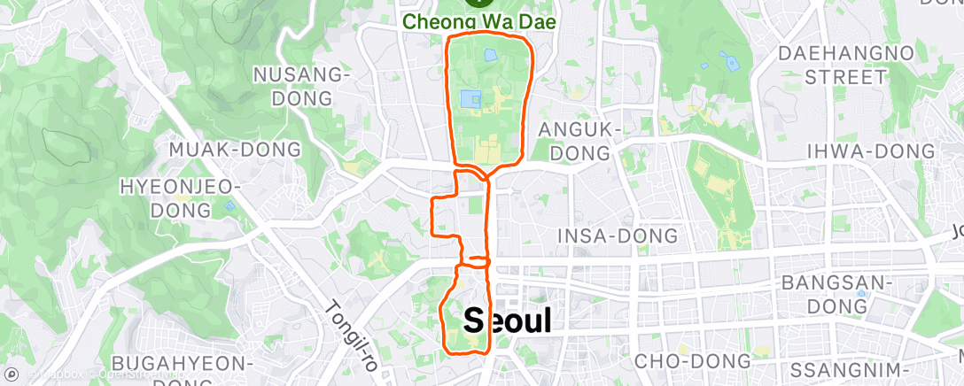 Map of the activity, Afternoon Run