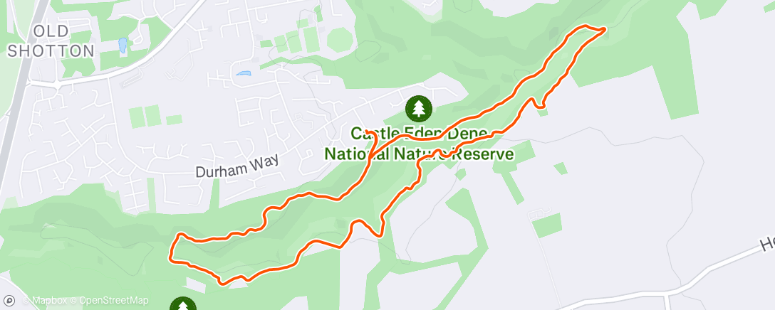 Map of the activity, Morning Walk