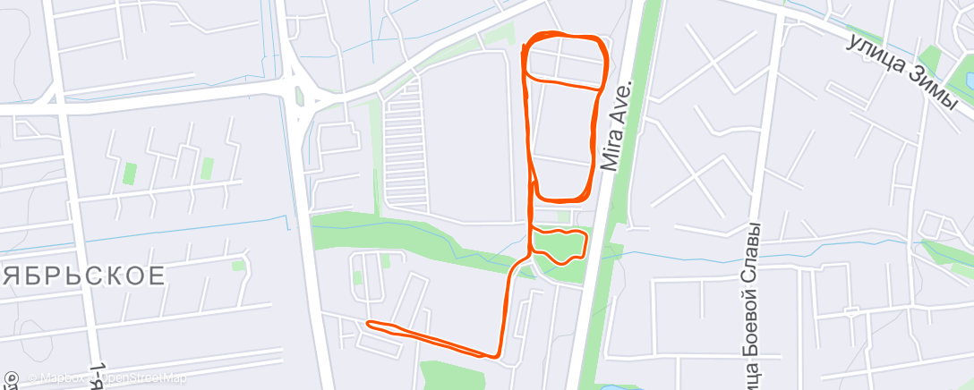 Map of the activity, 26/28/24 Run with my lovely wife:)