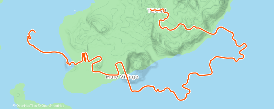Карта физической активности (Zwift - Group Ride: Rapha Festive 500 with Coco @ 2.6 W/KG on Watopia's Waistband in Watopia)