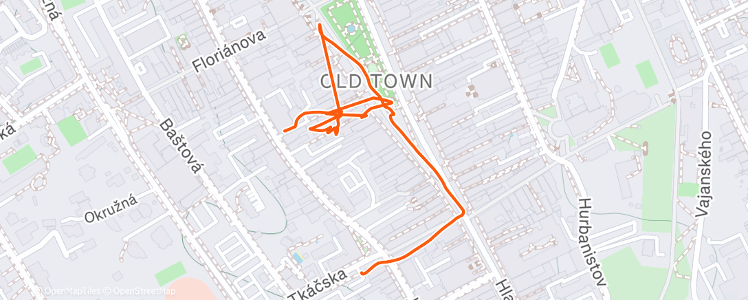 Карта физической активности (Afternoon Walk)