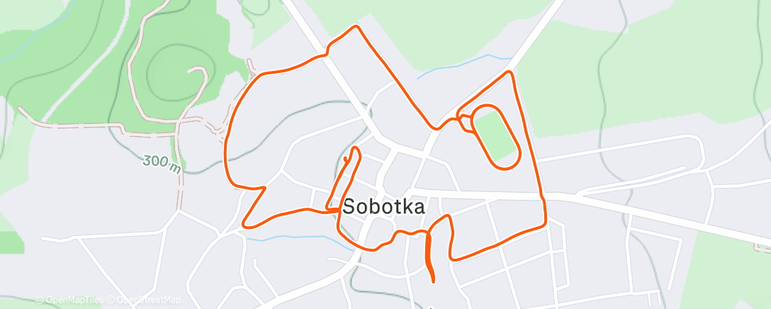 Карта физической активности (Morning Run)
