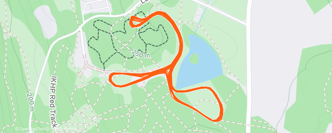 Map of the activity, Skate