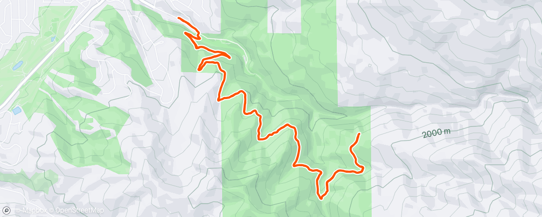 Map of the activity, High Praise from the Bday Girl