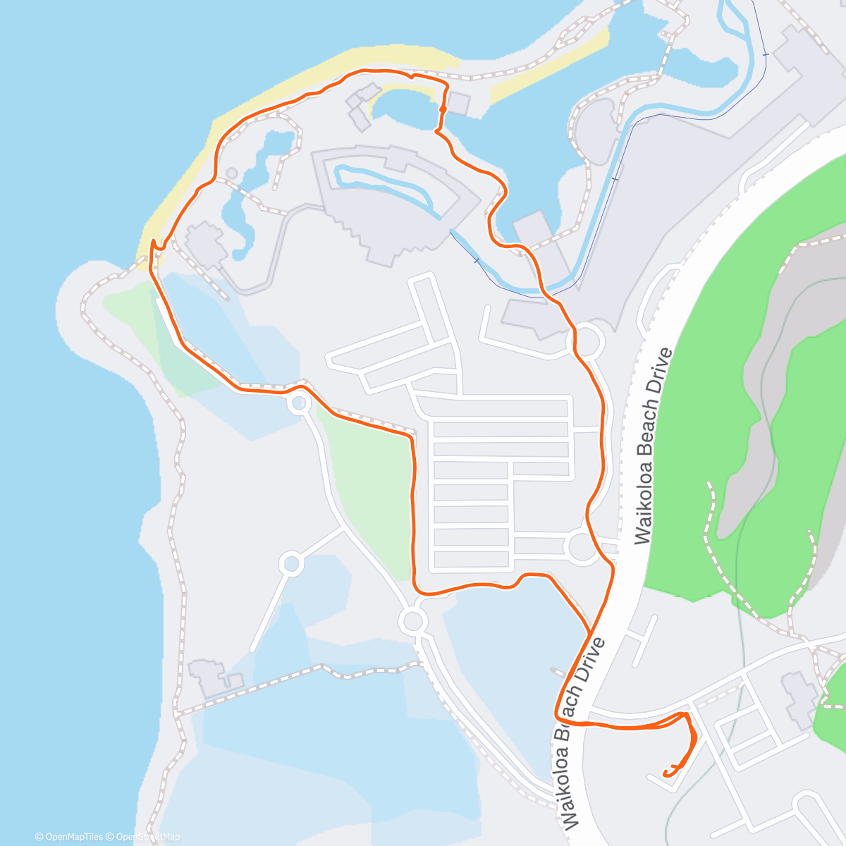 Карта физической активности (Night Walk)