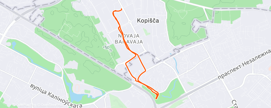 Map of the activity, Morning Run