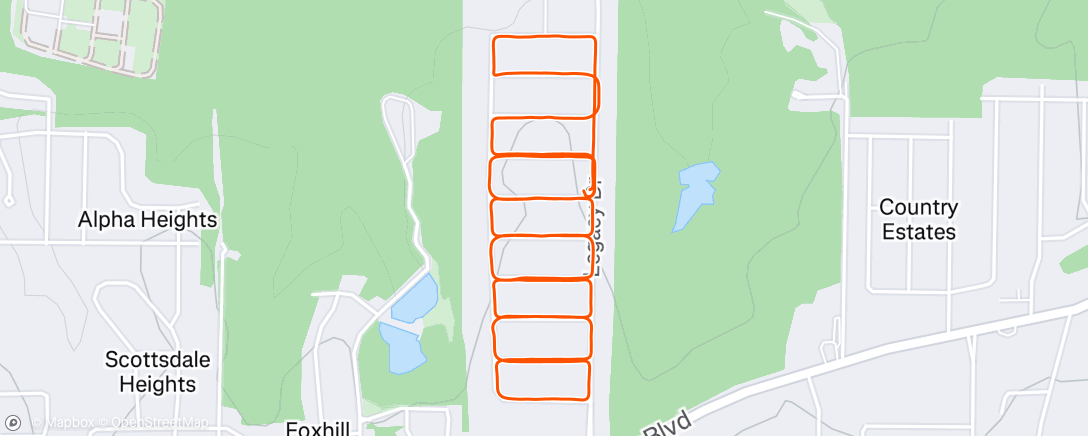 Map of the activity, Really changing things up with S turns today