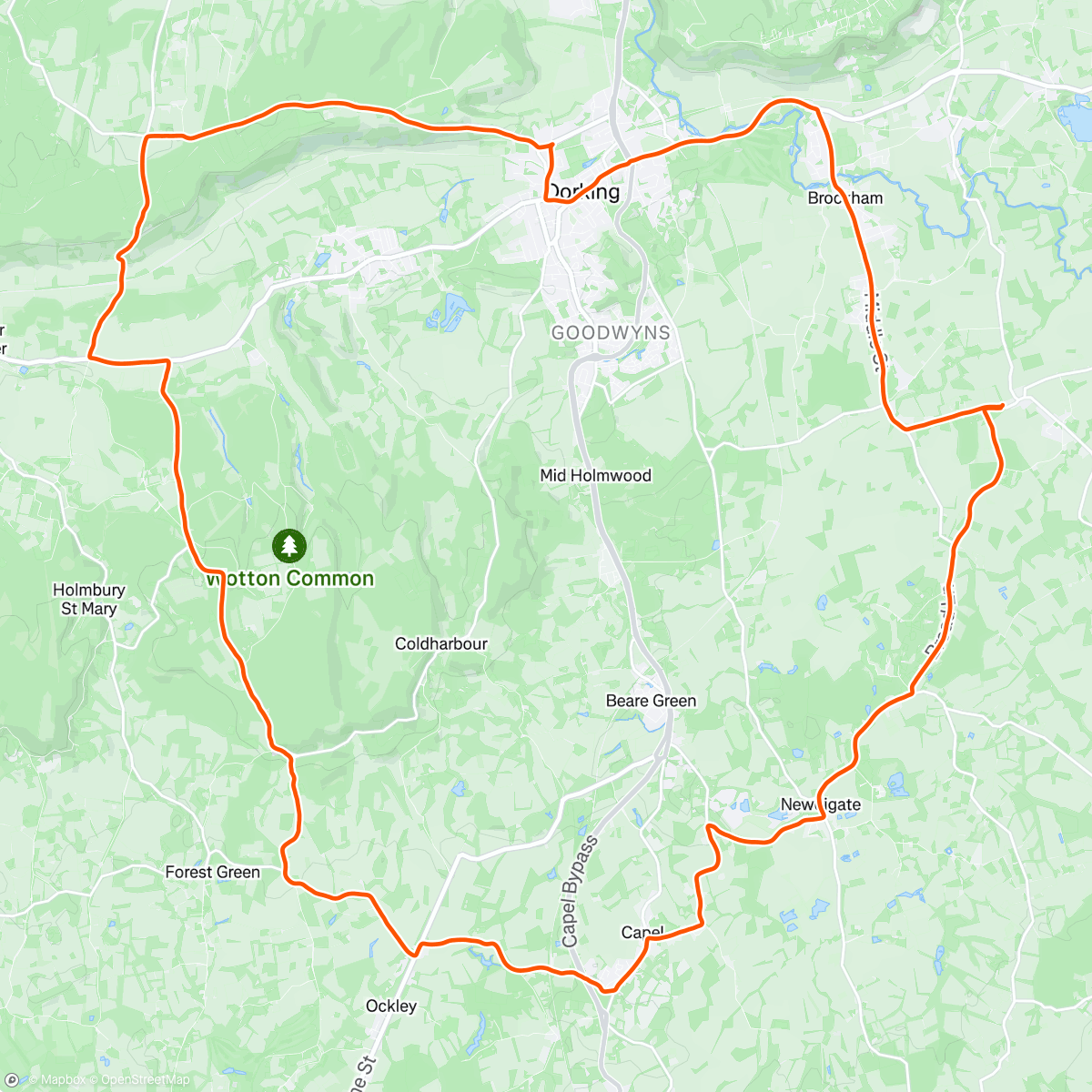 Map of the activity, Took Owen out for his first ride in two years! He’s back in the game!