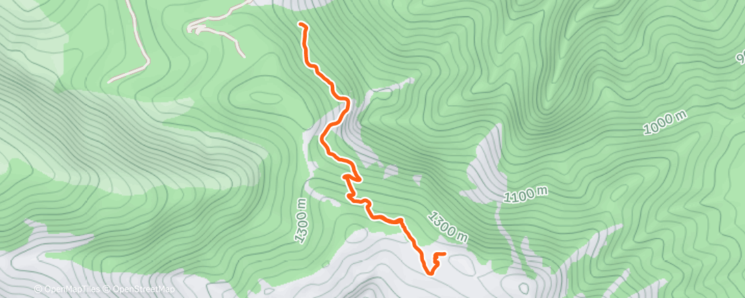 Карта физической активности (Morning Run)