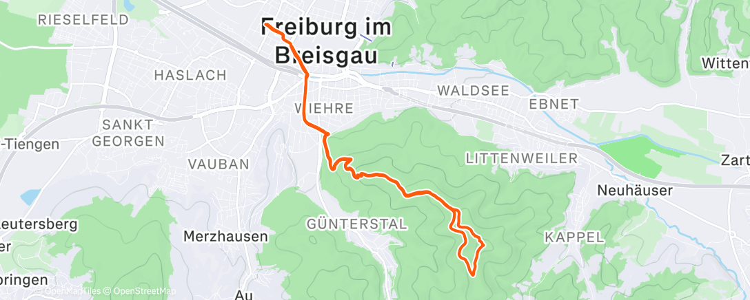 Карта физической активности (Ein wenig Leben II)