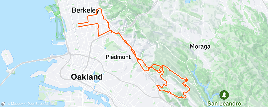 Map of the activity, Thick