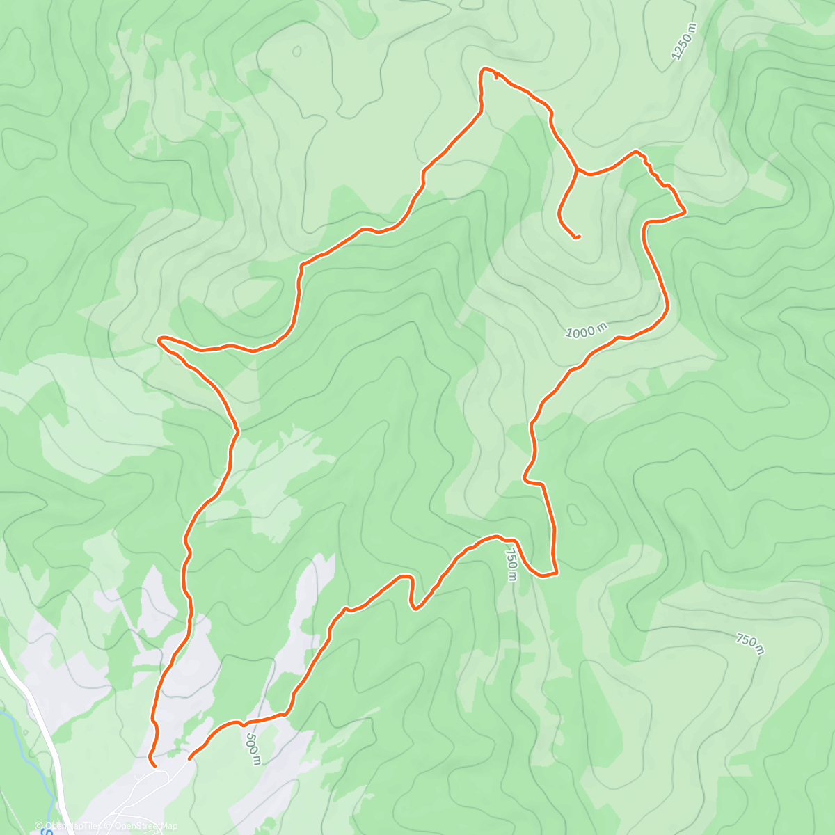 Map of the activity, Morning Trail Run