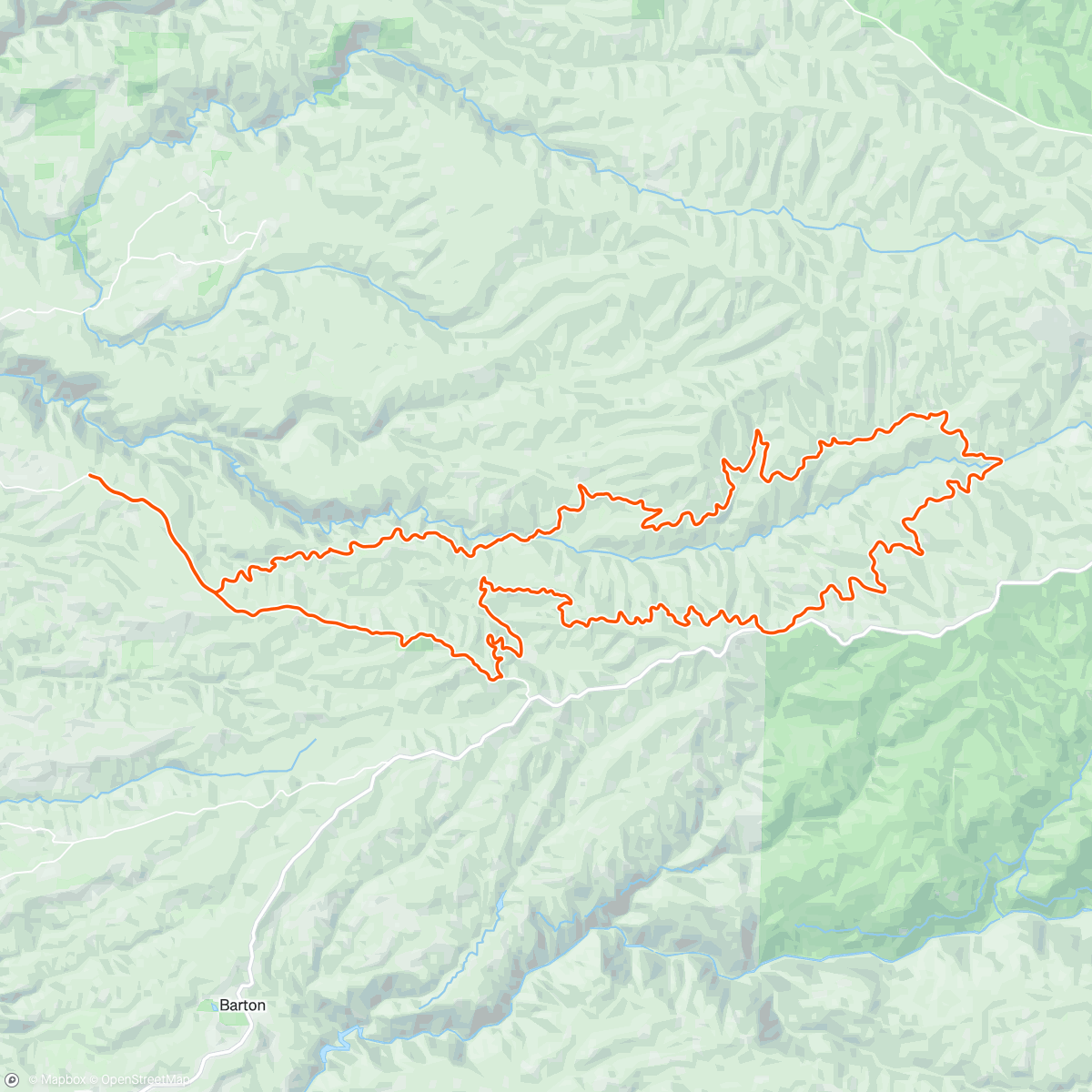 Map of the activity, Bark Beetle: Full Bosque