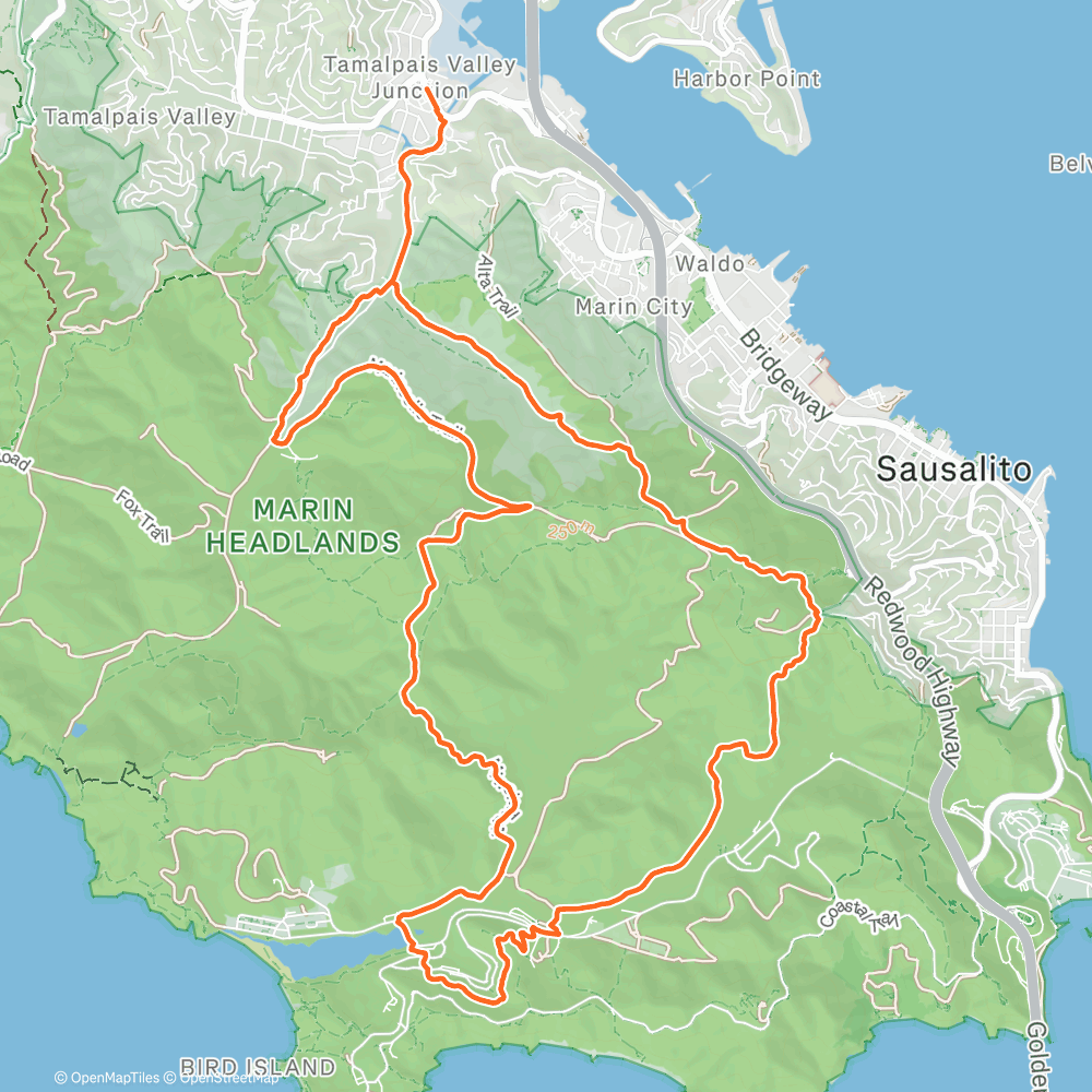 Map of the activity