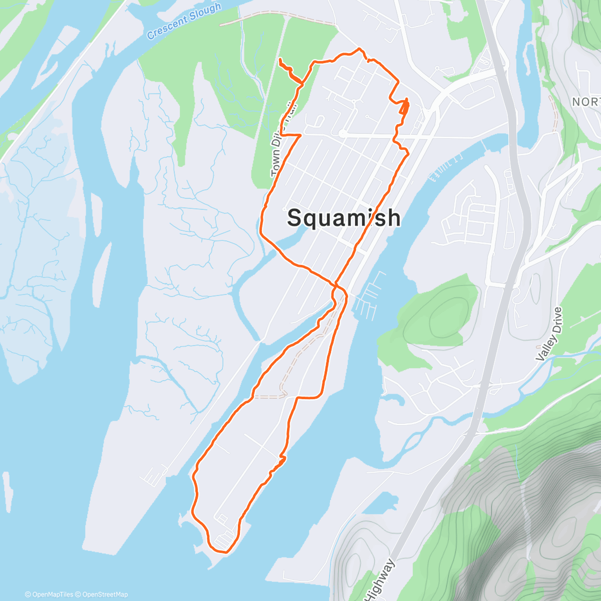 Map of the activity, Morning Walk dog