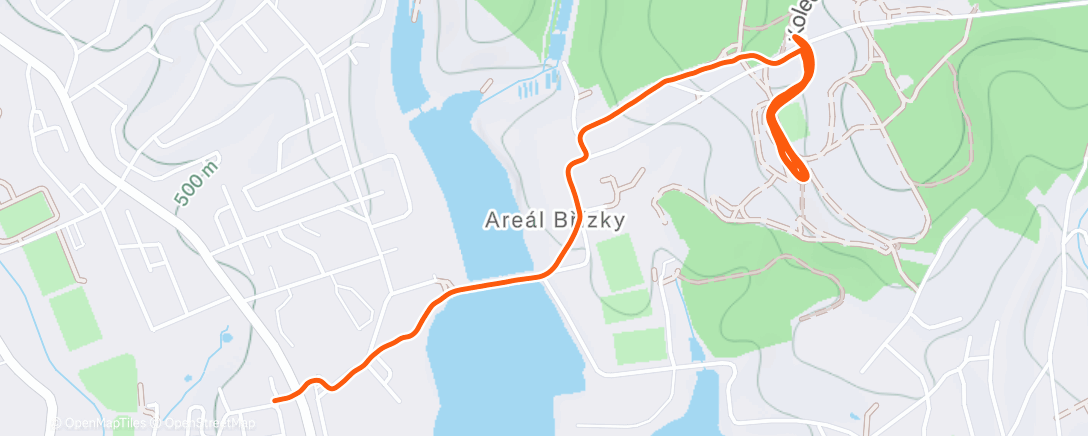 Карта физической активности (Morning Nordic Ski)