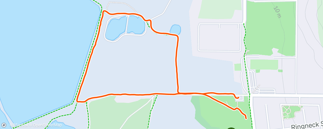 Carte de l'activité Afternoon run