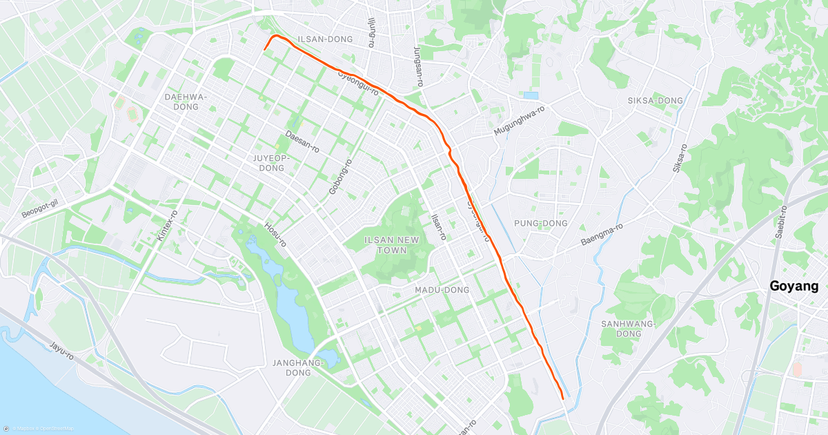 Night Run | Strava