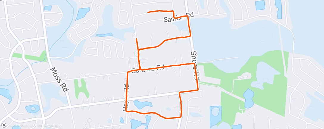 Map of the activity, Walking with Dusty