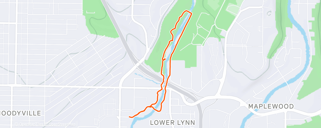 Карта физической активности (New Years Walk)