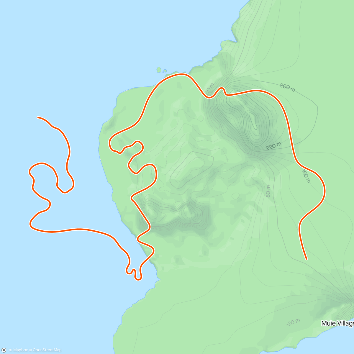 Карта физической активности (Zwift - Pacer Group Ride: Volcano Circuit in Watopia with Bernie)