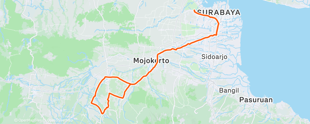 Map of the activity, White tiger