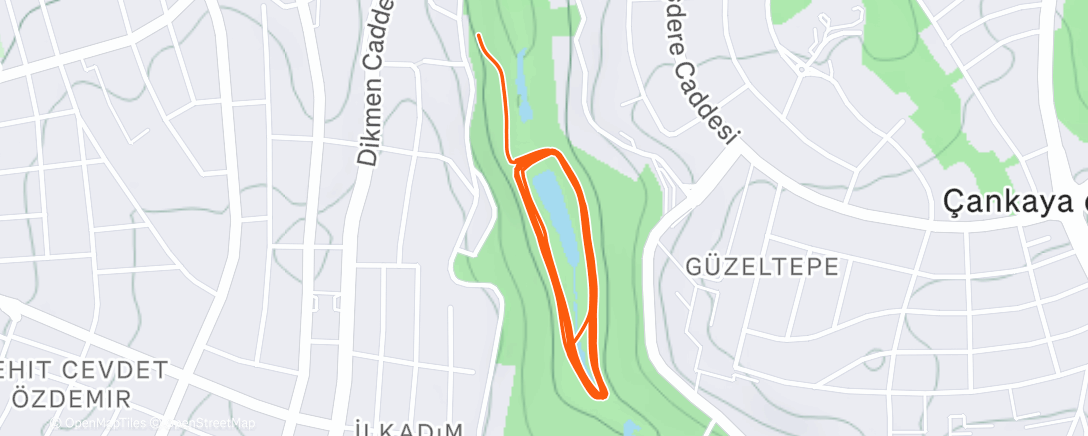 Map of the activity, Evening Run