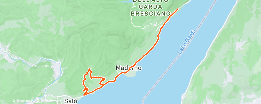 Карта физической активности (Con il gruppo sbagliato 😮‍💨)